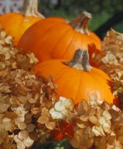 Welcome Autumn