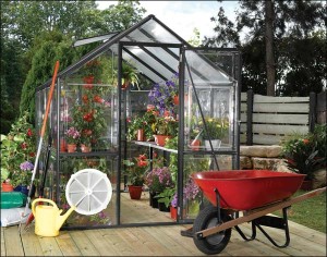 greenhouse in backyard