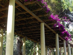 800px-Pergola_canaria