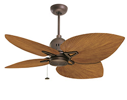 Pecan Palm fan