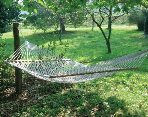 hammocks