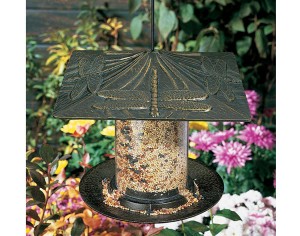 Bird-Feeder-6395