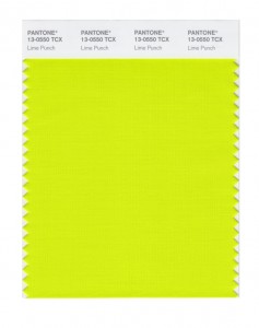 13-0550_limepunch