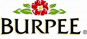 Burpee_Logo-1