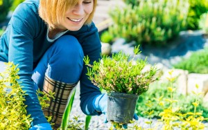 woman-working-in-garden-planting-xlarge