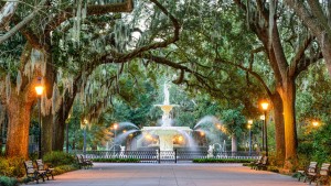 Savannah-ForsythPark_c-Sean Pavone_shutterstock_244712833