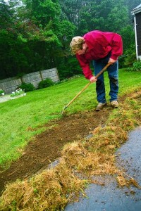 lawnrepair