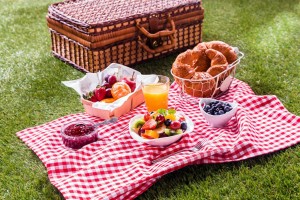 picnic-1024x682