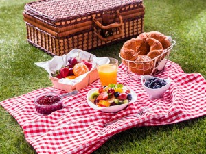 picnic-1024x682