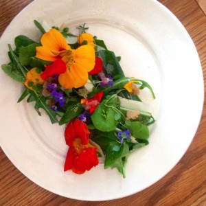 edibleflowers2