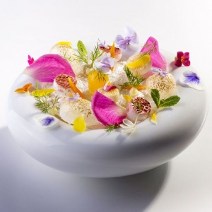 edibleflowers3