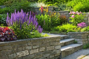 Garden With Stone Landscaping