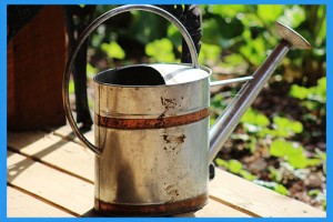 Watering-Can