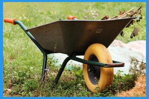 Wheelbarrow