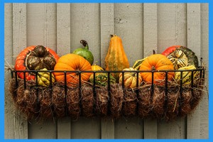 gourds-204929_1920