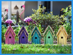 Birdhouse-13284-A