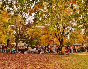 Fall Festivals