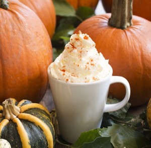 Warm Fall Beverage