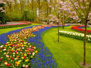 Garden path of flowers