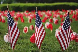 Memorial Day flags