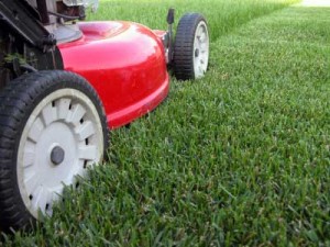 how-to-mow-your-lawn-1