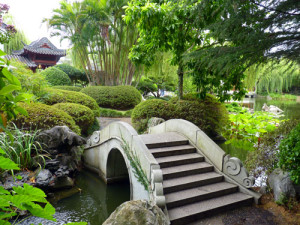 Lovely Chinese Garden