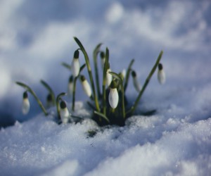 New Year's Resolutions