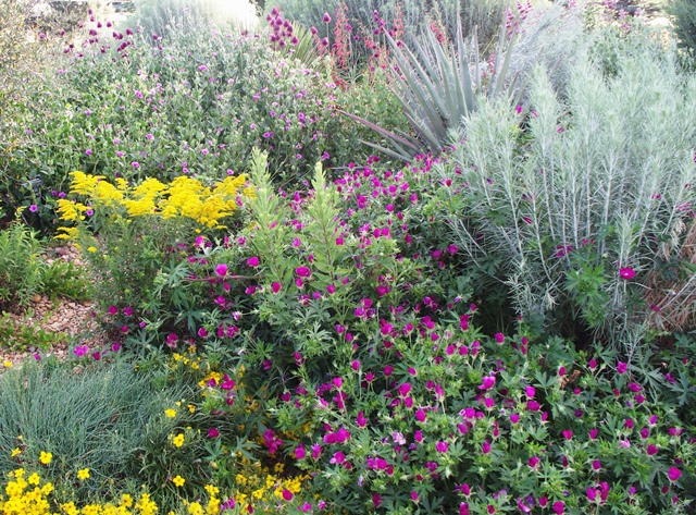 What Is Xeriscaping? - Fifthroom Living