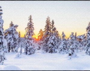 Winter Has Officially Arrived