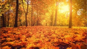 autumn equinox